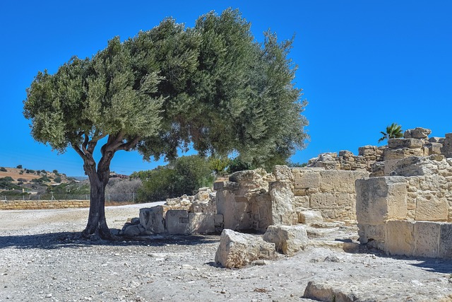 What Survival Science Teaches Conservation Practice