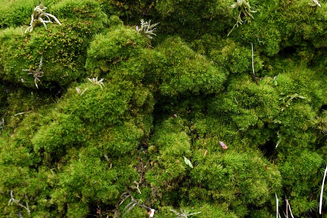 Stress Accumulation and Delayed Decline