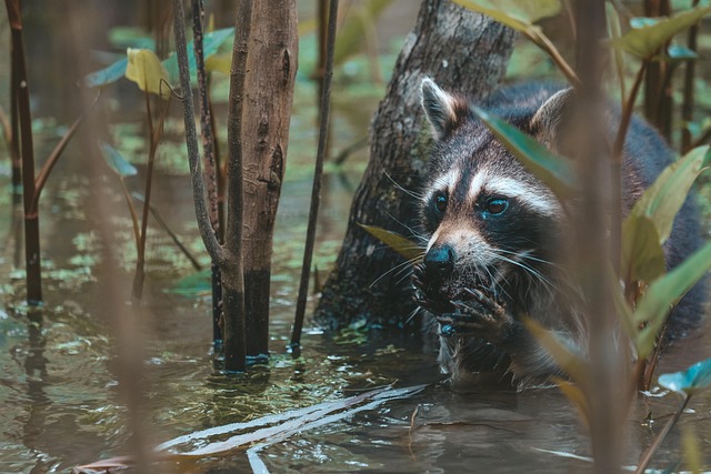 What Survival Science Teaches Conservation Practice