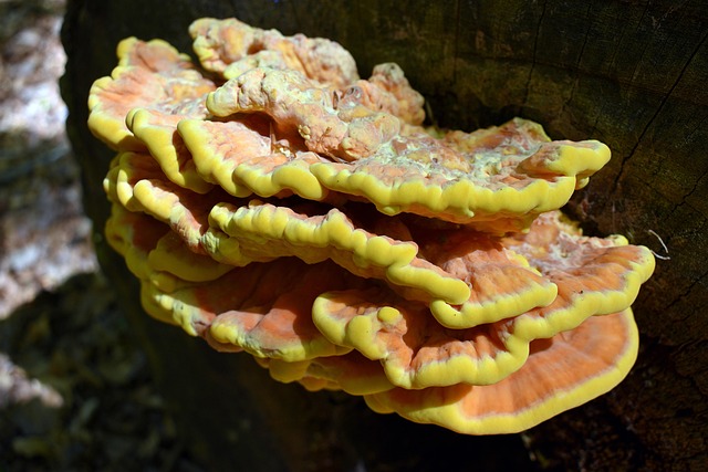 Stress Accumulation and Delayed Decline