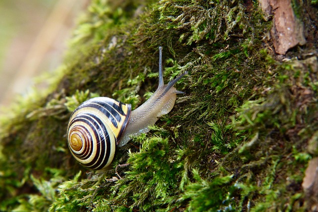 Resilience Is Built Slowly, Lost Quickly