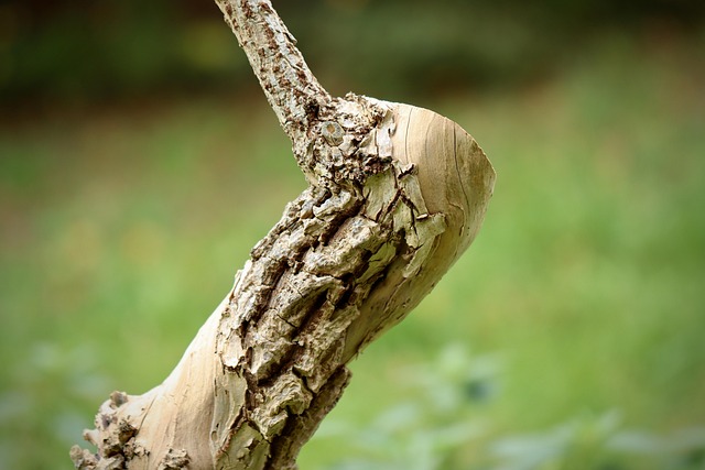 What Survival Science Teaches Conservation Practice