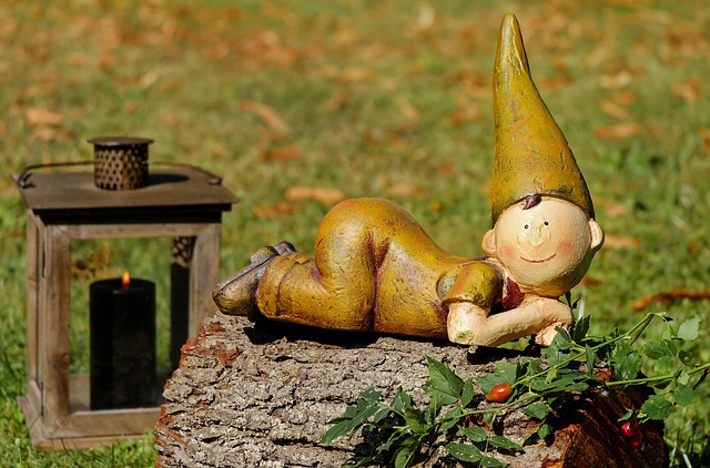 Water Availability and the Slow Economics of Trees