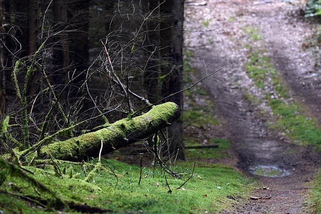 Stress Accumulation and Delayed Decline