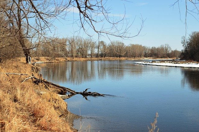 What Survival Science Teaches Conservation Practice