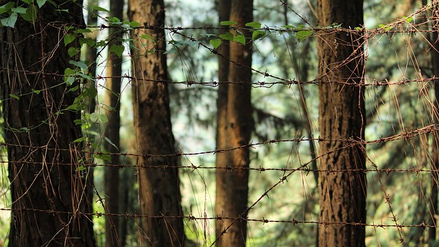 What Survival Science Teaches Conservation Practice