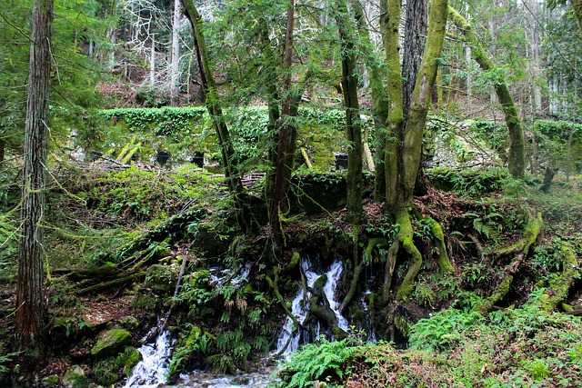 Species-Specific Tolerance to Stress