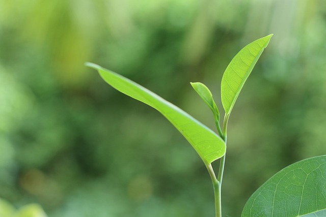 Species-Specific Tolerance to Stress