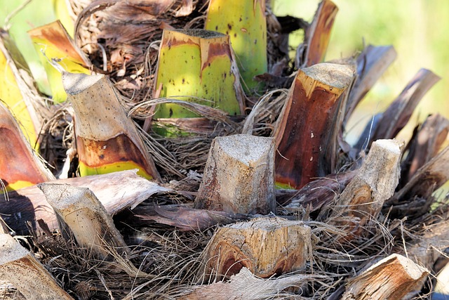 What Survival Science Teaches Conservation Practice