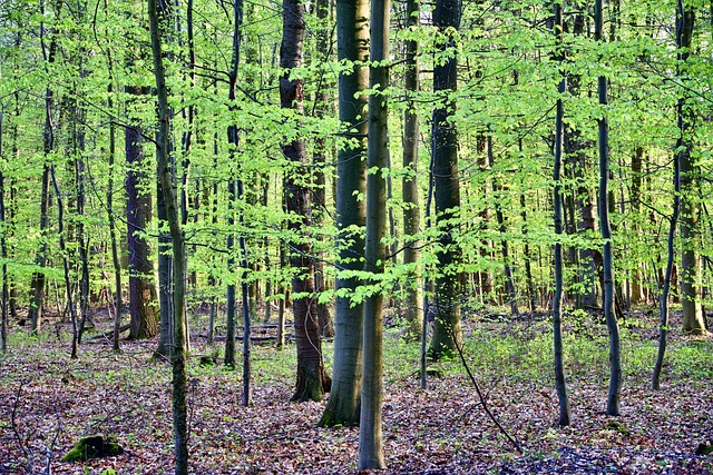 What Survival Science Teaches Conservation Practice