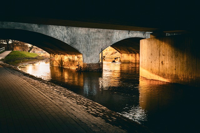 Species Selection and Climate Adaptation