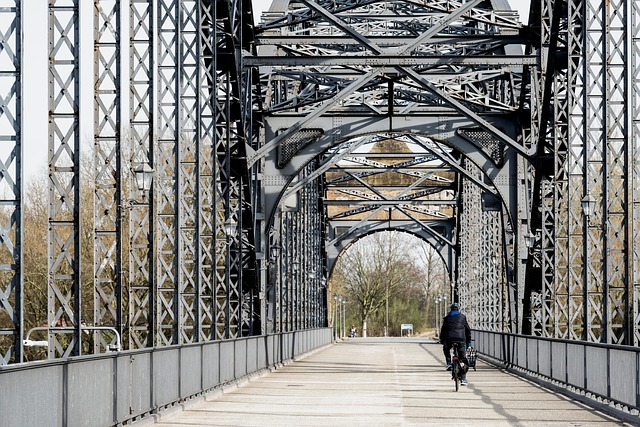 Urban Wood Circular Economy