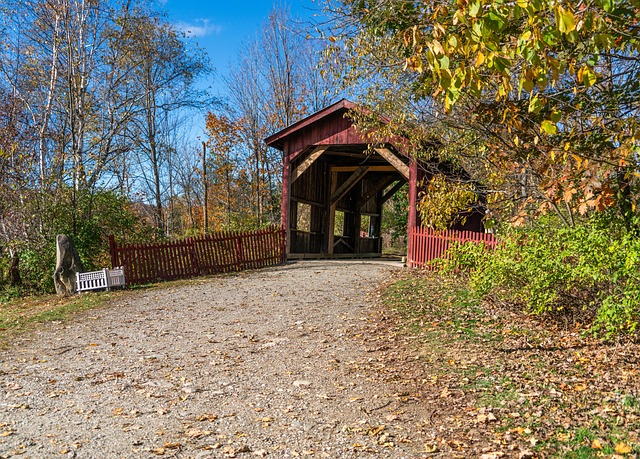 Technology and Remote Sensing