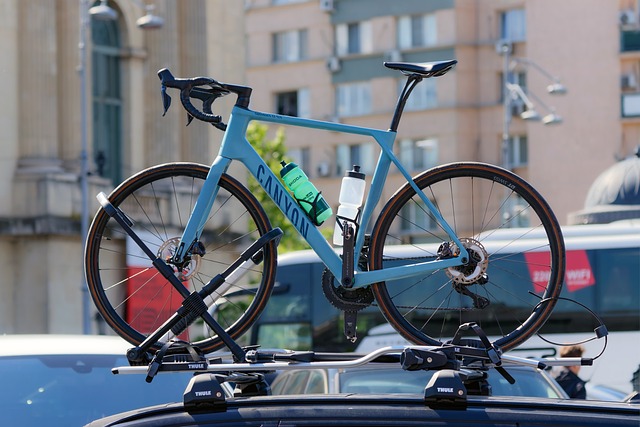 Species Selection and Climate Adaptation