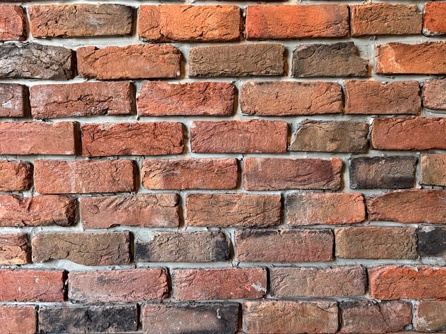 Root Systems and Soil Science