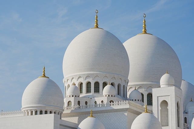 Species Selection and Climate Adaptation