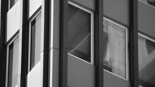 Urban Wood Circular Economy