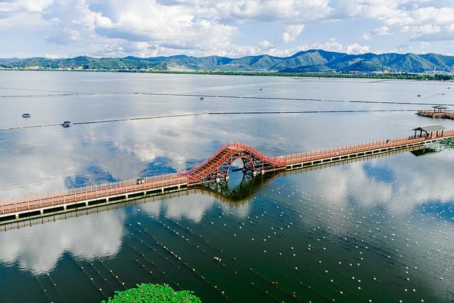 Root Systems and Soil Science