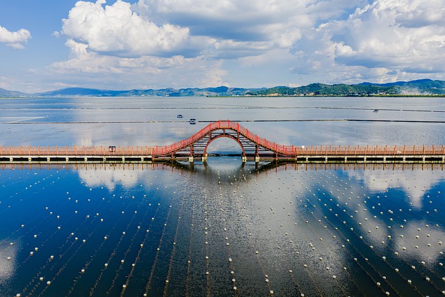 Ecosystem Services and Valuation