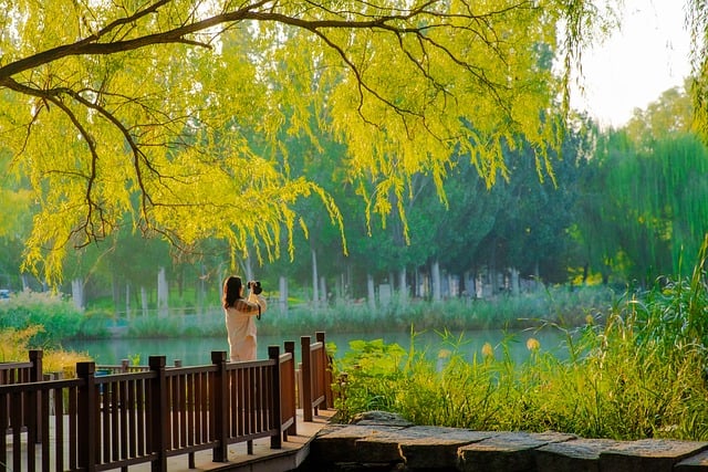 Biosecurity and Invasive Pest Threats