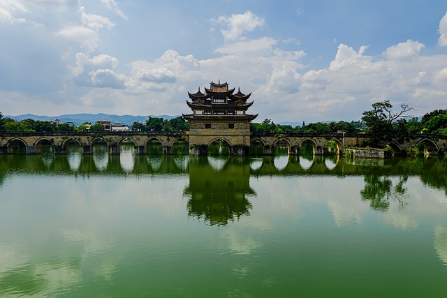 Urban Wood Circular Economy