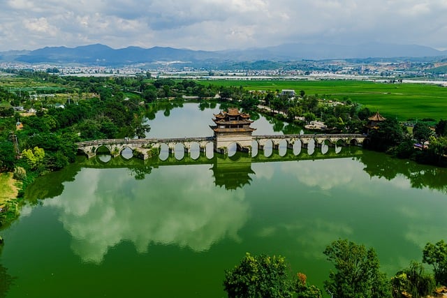 Staffing and Workforce Development