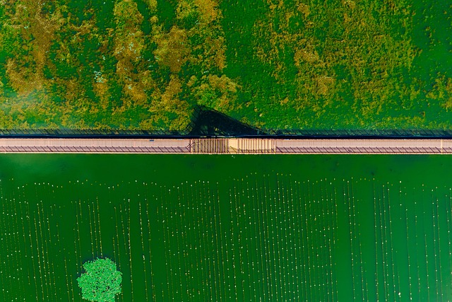 Urban Development Pressure