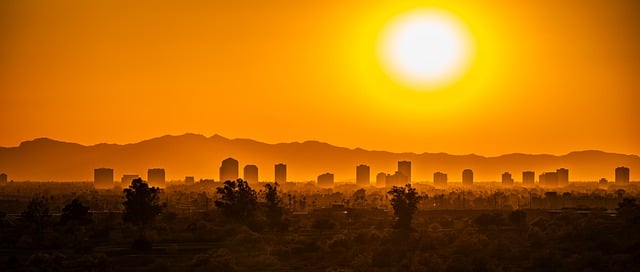 Species Selection and Climate Adaptation