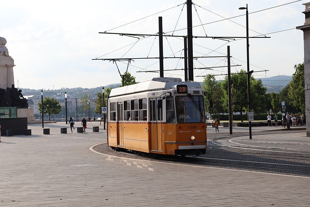 Biosecurity and Invasive Pest Threats