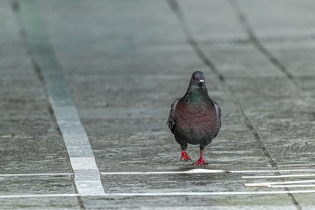 Climate Resilience and Extreme Events