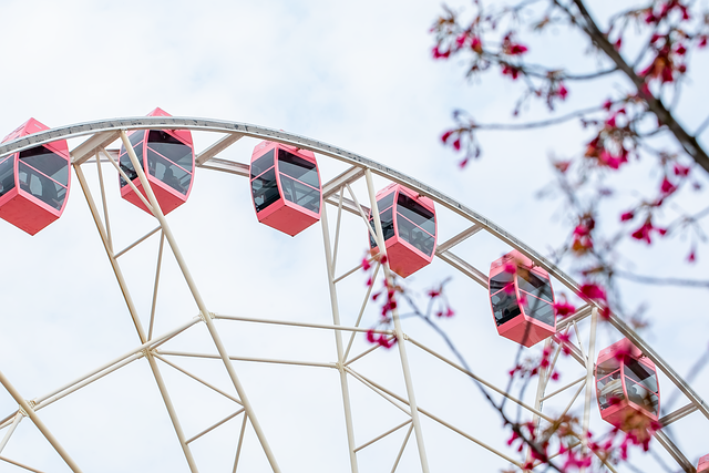 Staffing and Workforce Development