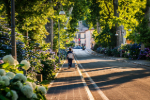 Hugging trees and wellbeing