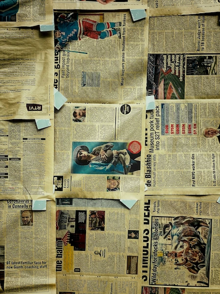 Trees News Featured Image