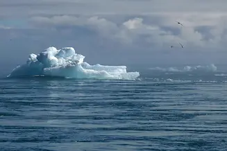 Ice berg melting indicating climate change