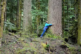 Joy of Hugging trees
