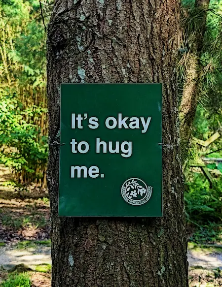 Person hugging a tree