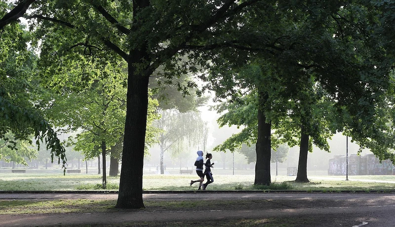  Two women jogging in a lush green park filled with trees, sunlight filtering through the canopy.