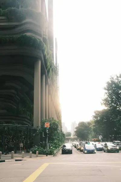 Green roof and living wall urban greening