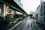 Urban Forestry image